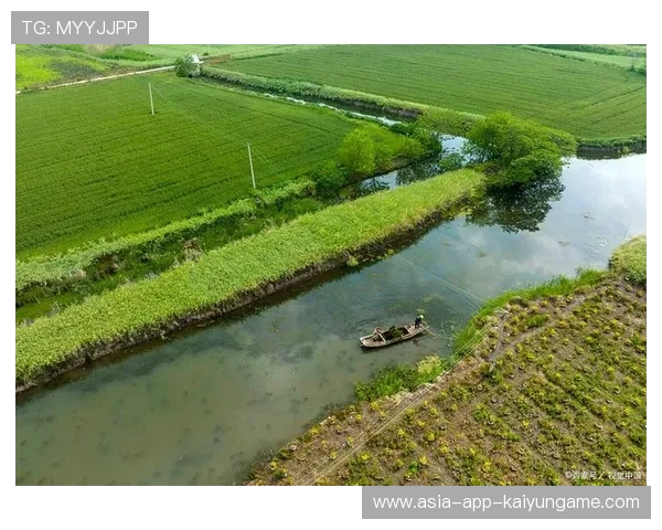 生态结构持续完善